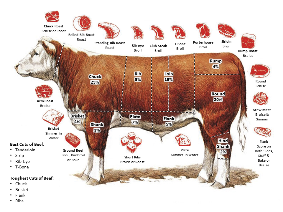 "meat and greet" ~ the best and worst cuts of beef